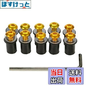 �y���������zLOYELEY �X�N���[���{���g 10�Z�b�g M5 5mm �{���g �E�F���i�b�g ���h�l�W �E�C���h�X�N���[�� �J�E����X�N���[���̌Œ� ���b�V���[�E�Z�p�����`�t�� �J���b�N �I�[�g�o�C �o�C