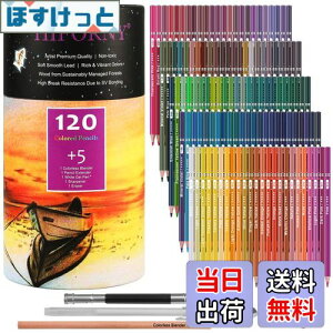 yzHIFORNY 125{̃J[yVZbgAl̓hGpA120F̃J[yVƃGNXgAA[eBXg̃\tgRAAlASҁAq̃h[COyVA[