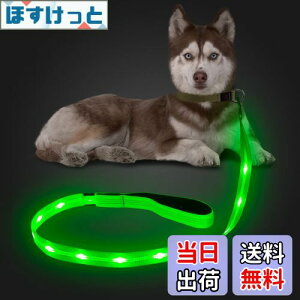 yzCandofly ˌ^ LED p[h - ÈłŌ錢p[h USB [dƖtp[vA4 tB[g̑ϋv̂ϐ_Ōp[hAybǧ̖̎Up ()