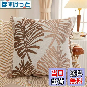 yzYunJeude NbVJo[ 45x45cm k 2Zbg Ȃƃl   t̕ WK[hD t@Xi[ CeA (45x45, R[q[)