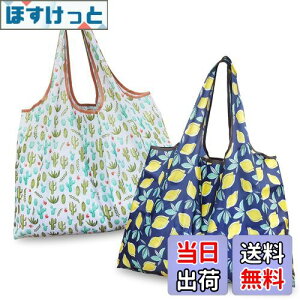 yz[GOKEI] GRobO y2 50×67cm eʁz ܂肽 obO RrjobO hf [ ≘ɂ y RpNg