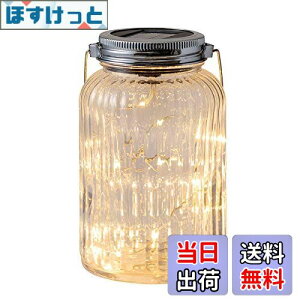 �y���������z�^�J�V���[ �\�[���[���C�g ���O �t�F�A���[ ���C�\���W���[ �V���o�[ �V�����p���S�[���h �K�[�f�����C�g �ԐڏƖ� �h�� �L���L���ƋP���₳������ �K���X�E�X�e�����X�E�|