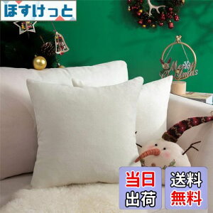 �y���������zTopfinel �N�b�V�����J�o�[ ���l�����ۂ� 45×45cm �k�� ������� �Ȗ� ���n �\�t�@�w���� �������J�o�[ ���z�c�J�o�[ �z���C�g 2���Z�b�g�i�S10�F�j