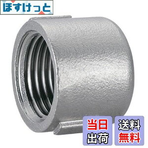 yzSANEI(TGC) svȔzǂӂ XeXLbv Ă10