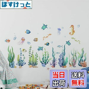 yzCondessacity EH[XebJ[ C A C  V[ R[ ^cmIgVS E~K XebJ[ C  ͂  C̐  V[ q C̃|X