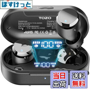 【送料無料】TOZO T12 ワイヤレスイヤホン 2025 極上の音体験 迫力かつ繊細な音 LEDディスプレイ電池残量表示 防水性能 ENCノイズキャンセリング カスタムEQ 専用アプリ対応 タッチ制御 最大約55
