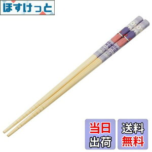 yzXP[^[(Skater) |S  | 21cm |PbgX^[ QK[  ANT4-A