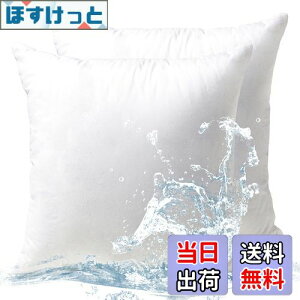 �y���������z�y ����zPhantoscope �N�b�V���� ���g 45×45cm 2�Z�b�g ����V���R���� �R�ۖh�L �􂦂� �_�炩�� �k�[�h�N�b�V���� �������H �h�� �{�����[���� ���O �z�e���d�l ��e���ǂ� ����