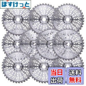 �y���������zSHUZIYU �����@�p�`�b�v�\�[ 230x36P 10���g