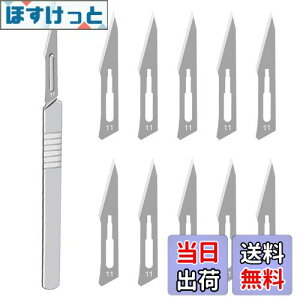 yzHƗpX nhX Yf|ޗ DIY ؍H NtgiCt u[h͌\ł AؒfA蒤AUȂǂ i 11p*1pcs+11n*10pcs j