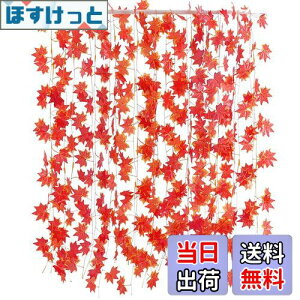 yzTumao lHgt K[h Ӎ nEB N NX}X  K[h gt̑ JGf̗t ݂  p  ݂ G lHt Be  DIY Cx  Ce