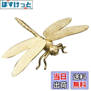 yzmamota  ANZT[ Ƃ x g{ u ^ ^ ^  CeA  I n`悯 J^ ACe ^J v[g (S[h)