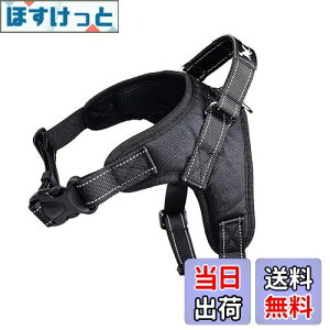 yzpn[lX[_[Zbg   bV \tg Ȃ ʋC ߉\ h~ ^ ^ U/P/o| (XS, ubN)