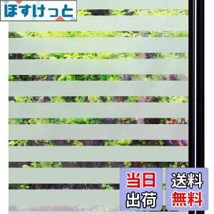 yzQualsen KXtB ډB V[g  tB  ߂V[g ptB œ\  Ռ fM ՔM Ih~ uvJbg ֖ډB Uh~ KX {