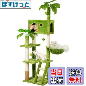 yzMeecal Lbg^[ ^Lp tt L^[  ω׏d10KG Lbg^[^ ܌|[ nbN ]|h~u LbgnEX L }bT[W VRR W]