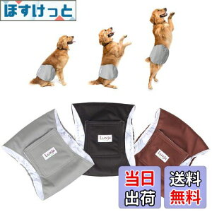 yzLuxja p}i[xg j̎q bV h Lk 3_Zbg }[LO R炵 IVbR΍ o  p(M,+O[+R[q[F)