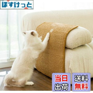 yzFTBOL L ܌  ܌V[g \ ܌V[g \t@ yh~z  L̒܌ A\t@AƋAǂɓ\ ϖ ܂Ȃ (XS:20x30cm)