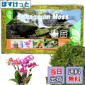 yzDEVENTORZ  - VR  k ~YSP 150g Ӓ A ւ |p |{y ݂|py yǍ kp엿p~YSP  h{fLx A