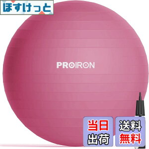�y���������zPROIRON �o�����X�{�[�� 65cm ���b�h �n���h�|���v�t�� �^���s���̉���