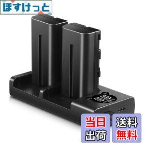 �y���������zENEGON Sony NP-F550/NP-F570�݊��o�b�e���[�i2�j2900mAh+USB�[�d�� �Ή�NP-F530/ NP-F550 /NP-F570/ NP-F330/ CCD-RV100/ RV200/ TR1 /TR940 /TR917 /CN-160 /CN-216 /CN-304 /YN 300 /V607u /V617u