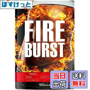 �y���������z�yFIRE BURST�z L-�J���j�`�� BCAA�z�� �T�v�� ���I�f�� 90����