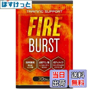 �y���������z�yFIRE BURST�z L-�J���j�`�� BCAA �T�v�� �^�u���b�g ���I�f�� 30����