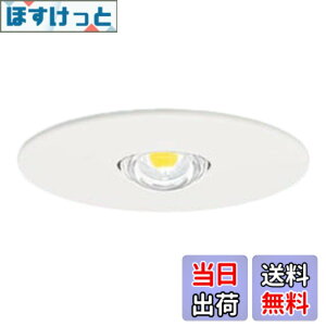 �y���������z�p�i�\�j�b�N(Panasonic) LED���p�Ɩ���� ��p�^ �����^30���ԃ^�C�v ��100 LED��V��p(-6m) NNFB84605