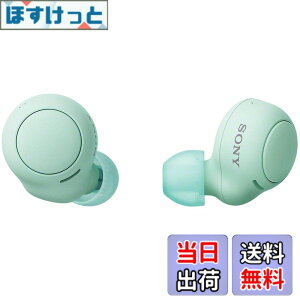 �y���������z�\�j�[(SONY) ���S���C�����X�C���z�� WF-C500 : /�y�ʏ��^5.4g/�����x�ʘb�i��/�ȒP�y�A�����O/IPX4�h�H���\/�A�C�X�O���[�� WF-C500 GZ
