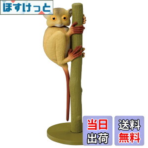 ���i�摜