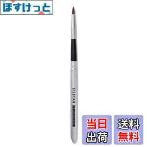 �y���������zSILSTAR PROFESSIONAL MAEKUP BRUSH �F�F�V���o�[