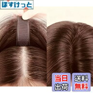【送料無料】RENLIGUOJI 【2026年春新登場 金属ピン無し 軽微脱毛白髪専用 】 シートエクステ バレないウ…