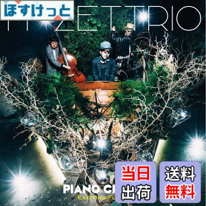 �y���������zPIANO CRAZE[EXCITING FLIGHT ��] �T�C�Y�FM