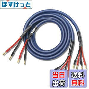 �y���������z�y�o�C���C���[�z WYVERN AUDIO �ɑ� �������x�� 12�c �o�i�i�v���O�t �����i HIFI �o�C���C�������O�ڑ� �o�C���C���[ �X�s�[�J�[�P�[�u�� 2�{1�g LR�Z�b�g �i�u���[�j �yWVA-04BW12�z 