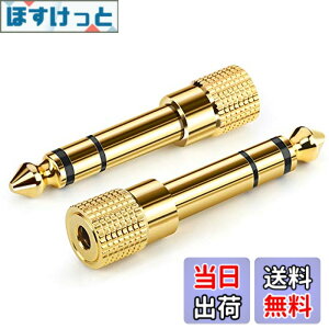 �y���������zAncable �C���z���W���b�N �ϊ� �v���O 2�{ �X�e���I�~�j�v���O 6.35mm 3.5mm �ϊ� �A�_�v�^ ���X�I�X �w�b�h�z�� �A���v �d�q�s�A�m �C���z���ȂǗp �T�C�Y�F2-Pack
