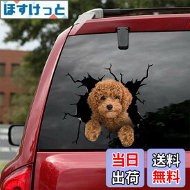 【送料無料】ChichuangK Uteリトルプードル亀裂3d車のステッカー、面白い現代アートデザインステッカー、車の装飾ステッカー、車の窓バンパーステッカー、冷蔵庫ステッカー、インテリア装飾、トイレステッカー