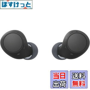 �y���������z�\�j�[(SONY) ���S���C�����X�C���z�� WF-C500/WF-C510 :/�����x�ʘb�i��/IPX4�h�H���\ �F�F�u���b�N�A�T�C�Y�F���^�y��
