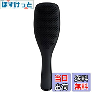 �y���������zTANGLE TEEZER �^���O���e�B�[�U�[ �M�t�g�{�b�N�X �U�E�A���e�B���b�g�f�B�^���O���[ �F�F�h���[���u���b�N�A�T�C�Y�F�m�[�}��