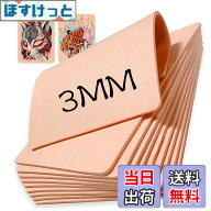 【送料無料】0.3CM厚 タトゥー練習スキン FUDELYO 3個 6"x8" 両面タトゥープラクティススキンシリコンパ…