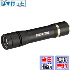 �y���������zGENTOS(�W�F���g�X) �����d�� LED���C�g �[�d�� 200~900���[���� ���N�V�[�h RX-285R/RX-286R/RX-304R/RX-386R/RX-486PB �F�F�u���b�N�A�T�C�Y�F���a29.5x141.8mm