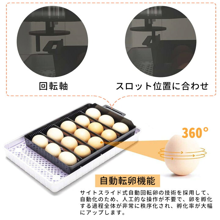 最大63 Offクーポン 24枚小型自動孵卵器 60w卵インキュベーター 自動転卵式 温湿度デジタル表示 アラーム 操作ボタン付き 簡単に取り扱い 省エネ ふ卵器 鶏 Discoversvg Com