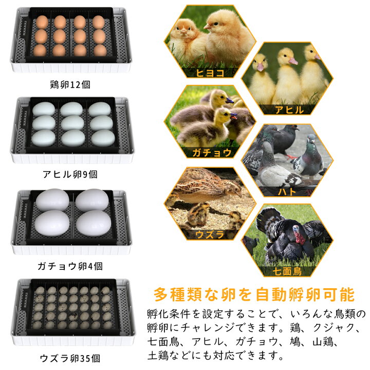楽天市場 孵卵器 孵化器 鳥類 専用 孵卵 器 自動孵卵器 孵卵 器 インキュベーター 恒温器 鳥類専用ふ卵器 孵化器 自動転卵式 アヒル 鶏卵 アヒル うずら 恒温孵化器 Hosky楽天市場店