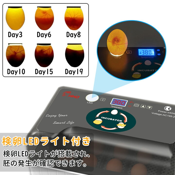 最大63 Offクーポン 24枚小型自動孵卵器 60w卵インキュベーター 自動転卵式 温湿度デジタル表示 アラーム 操作ボタン付き 簡単に取り扱い 省エネ ふ卵器 鶏 Discoversvg Com