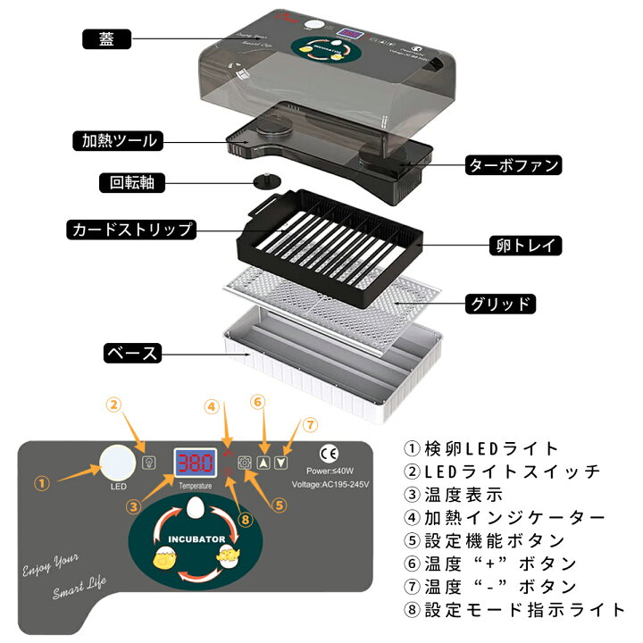 最大63 Offクーポン 24枚小型自動孵卵器 60w卵インキュベーター 自動転卵式 温湿度デジタル表示 アラーム 操作ボタン付き 簡単に取り扱い 省エネ ふ卵器 鶏 Discoversvg Com