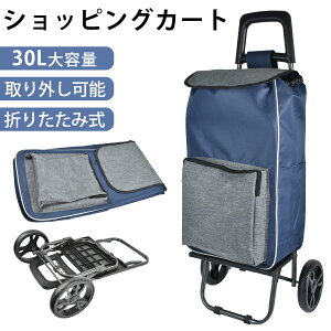買い物カート 折りたたみ ショッピングカート キャリーバッグ キャリーカート 30L 大容量 人気 レディース 敬老の日 主婦 老人 お年寄り おしゃれ 2輪 エコバッグ キャンプ アウトドア 軽量