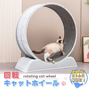 ySS|zvX5OFFzLbgzC[ L o79.5cm [i[ Lbgi[ jOzC[ LbgEH[N ]  LzC[ ^p  }bgt S