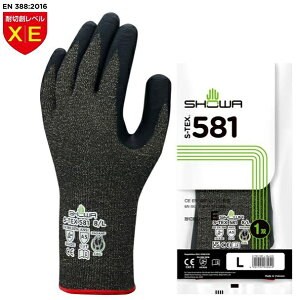 ϐؑn܁@C[@ϐؑnxE@A~h@Ǝ܁@jg@ɂ@ɋ@V[@SHOWA@S-TEX581