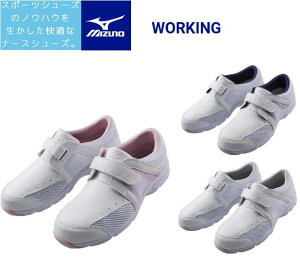 i[XV[YyMIZUNOzF1GB1800@fBJV[Y@ƌCy~YmzX|[c^Cv@AIRFORT@a@@@fBJ@Á@3EyEEEzL@ɂ@@j@RۖhLC\