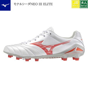 iV[_NEO III ELITE p1ga242060 zCg bh