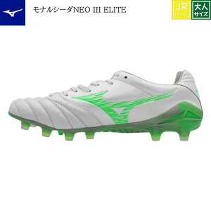 iV[_NEO III ELITE p1ga242060 zCg O[