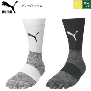v[} 5{w\bNX TbJ[ \bNX Xgbp[ C  ~ C Obv\bNX g[jO ܖ{w 5{w 5{w PUMA Y tbgT Or[ oXPbg{[ St X